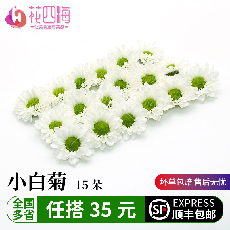 新鲜彩菊 绿心白小雏菊15朵 西餐摆盘 蛋糕饮品装饰点缀新鲜菊花