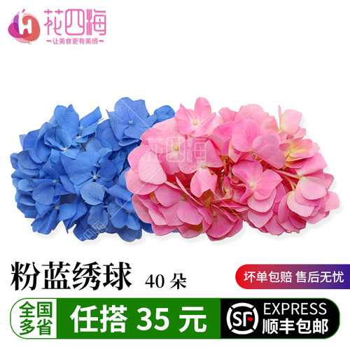 新鲜粉蓝绣球价优料理西餐摆盘