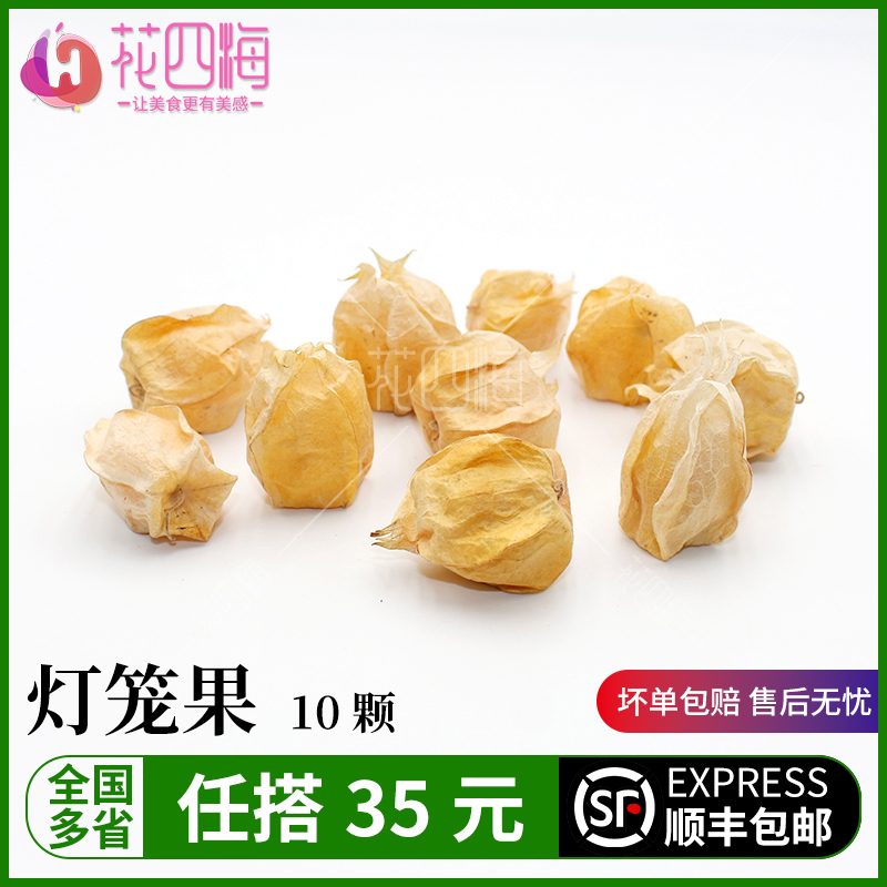 新鲜采摘姑娘果灯笼果现采发货