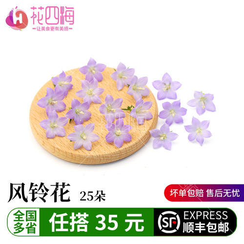 新鲜风铃花现采摘发货坏单包赔