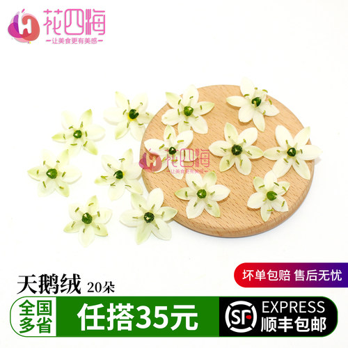 新鲜天鹅绒白色小花西餐酒店摆盘日料蛋糕烘焙酒水装饰点缀鲜花草