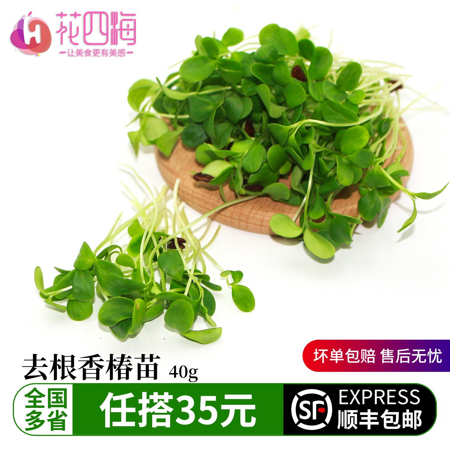 新鲜去 根香椿苗 可食用芽苗菜蔬菜日料烘焙蛋糕西餐摆盘装饰花草