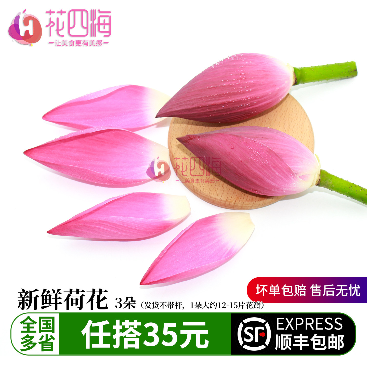 新鲜荷花 莲花荷花苞3朵 摆盘装饰花酒店西餐摆盘装饰点缀花草
