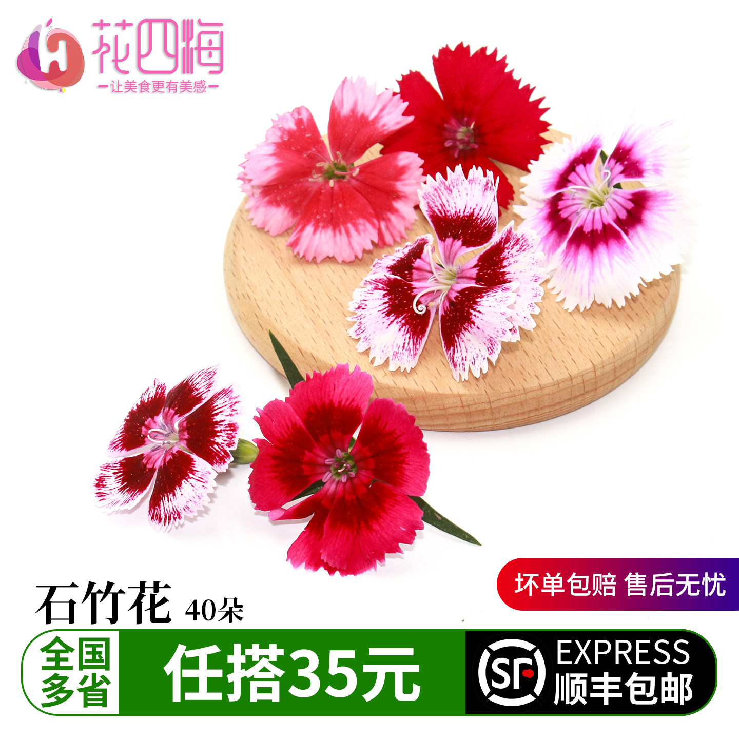 新鲜石竹花物美价廉酒店摆盘点缀