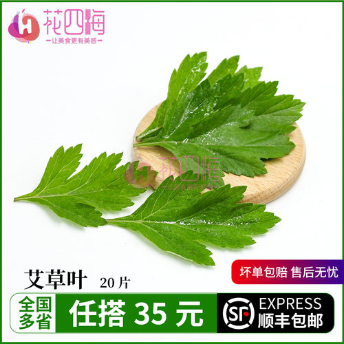新鲜艾草叶 20片 日料西餐酒店餐饮摆盘蛋糕饮品装饰点缀花草叶子