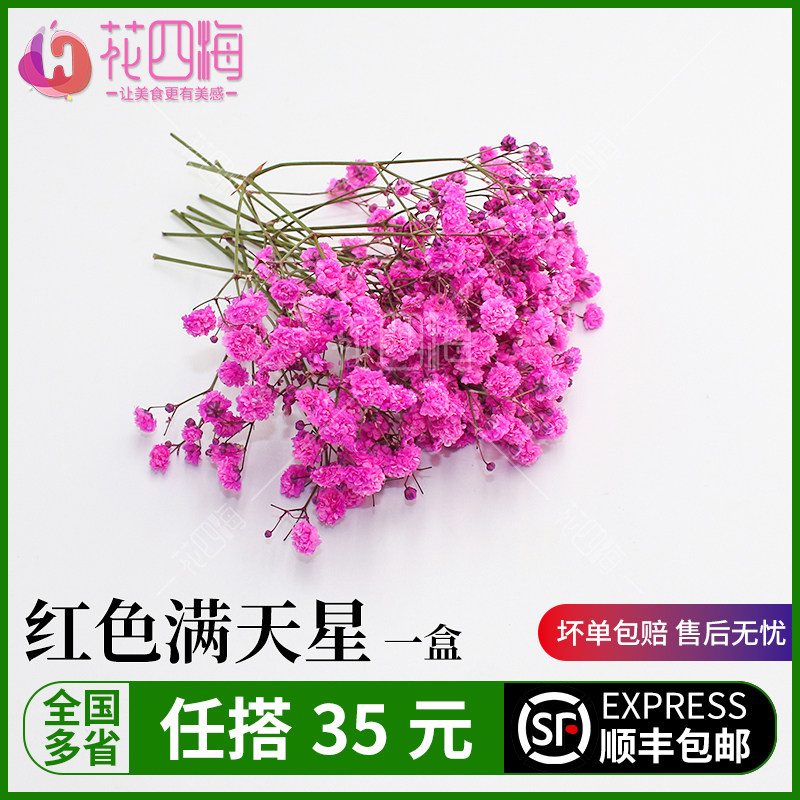 新鲜红色满天星 盒装 西餐摆盘菜装饰餐饮摆盘鲜花草点缀一盒图片