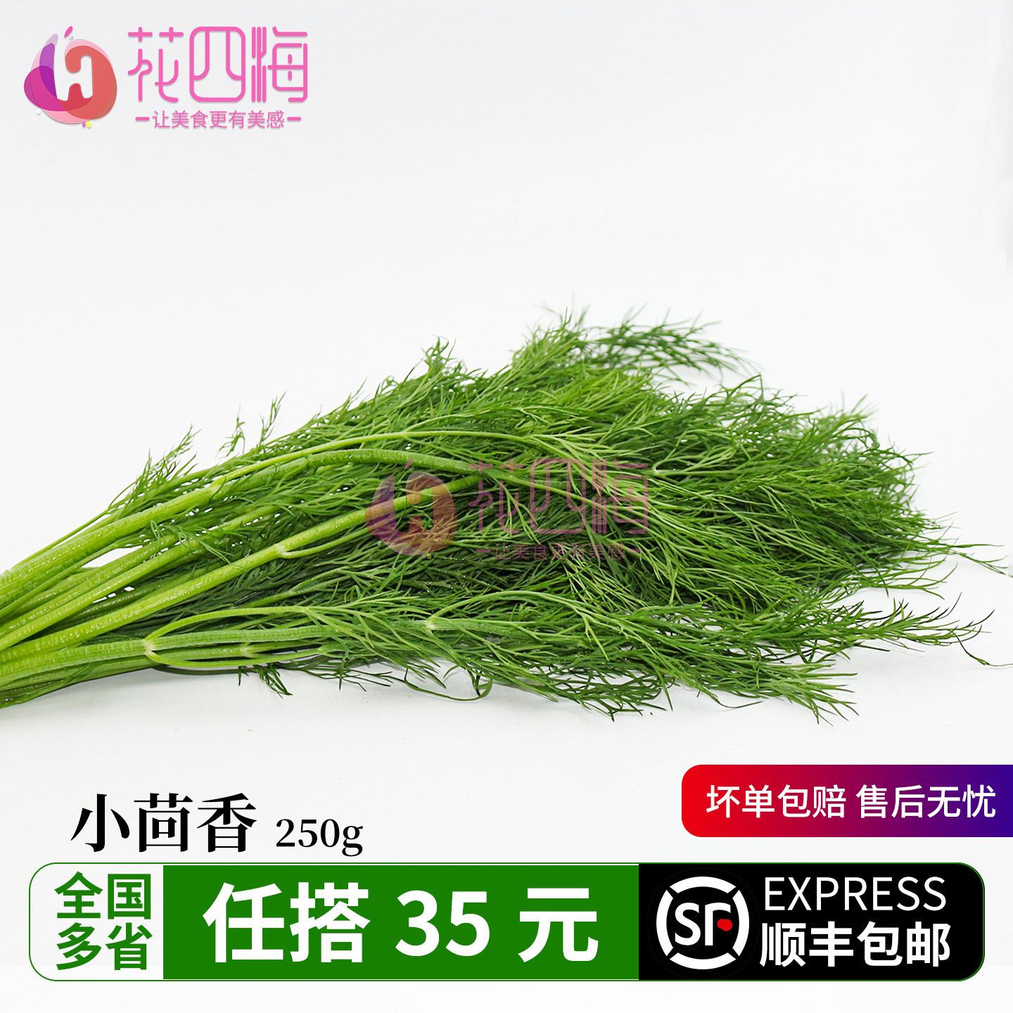 新鲜小茴香 茴香叶香料饺子包子料250g酒店西餐餐饮摆盘鲜花草
