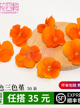 新鲜橙色三色堇 三色花50朵 西餐摆盘菜装饰餐饮摆盘鲜花草点缀花