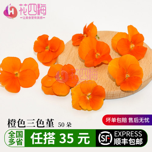 新鲜橙色三色堇 三色花50朵 西餐摆盘菜装饰餐饮摆盘鲜花草点缀花