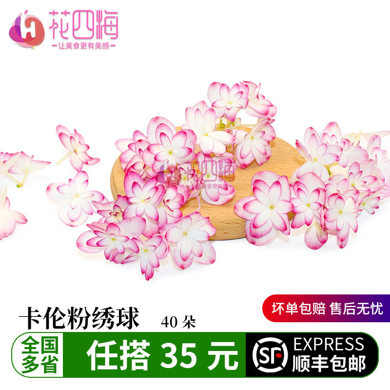 新鲜卡伦粉绣球 粉边绣球精灵 酒店西餐摆盘菜装饰餐饮摆盘鲜花草