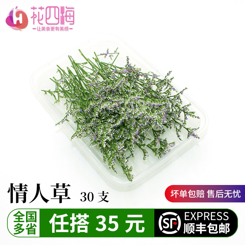 新鲜情人草30支 非薰衣草 西餐摆盘菜装饰餐饮摆盘鲜花草点缀花