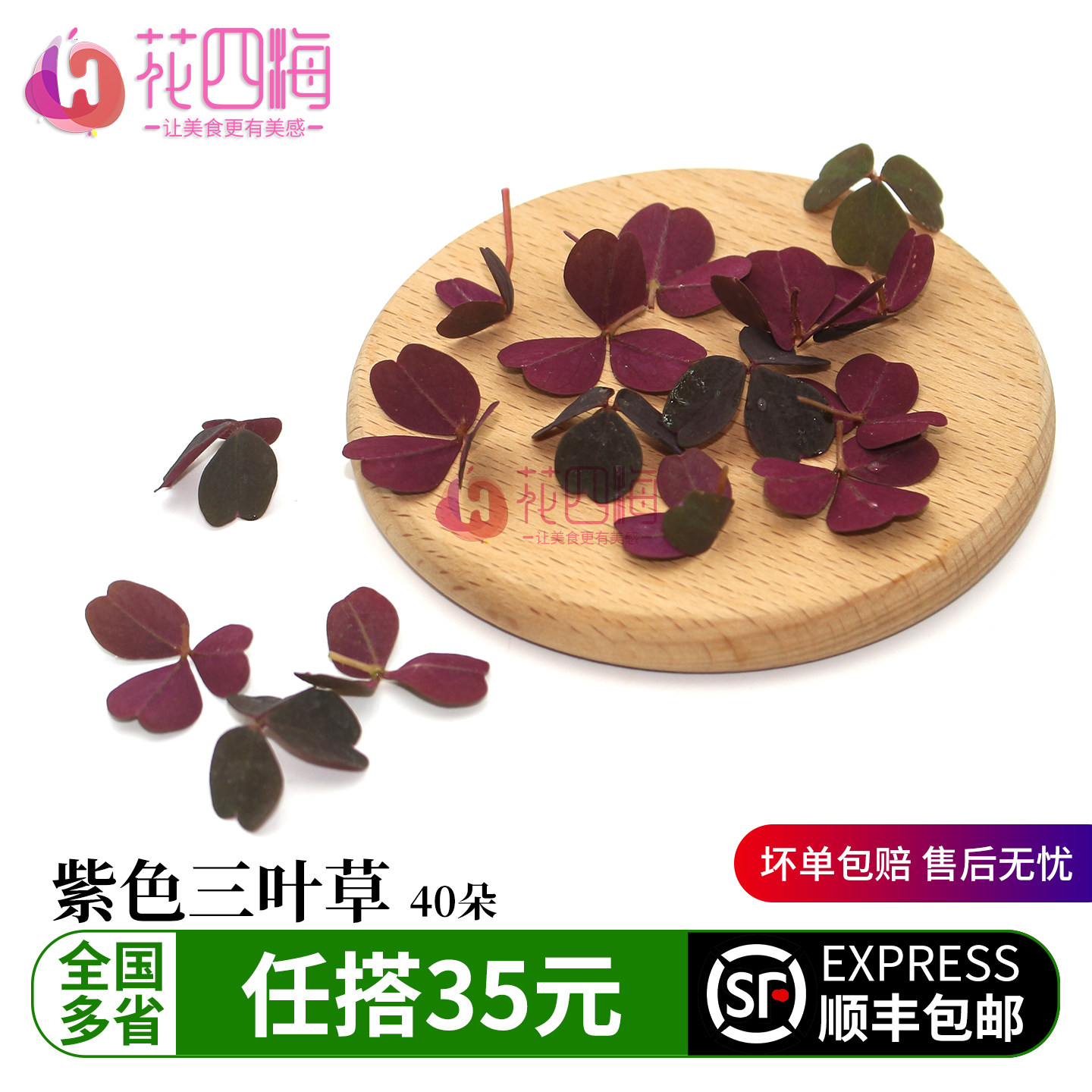 新鲜紫色三叶草  熔岩酢浆草三叶草中餐日料西餐装饰蛋糕烘焙花草