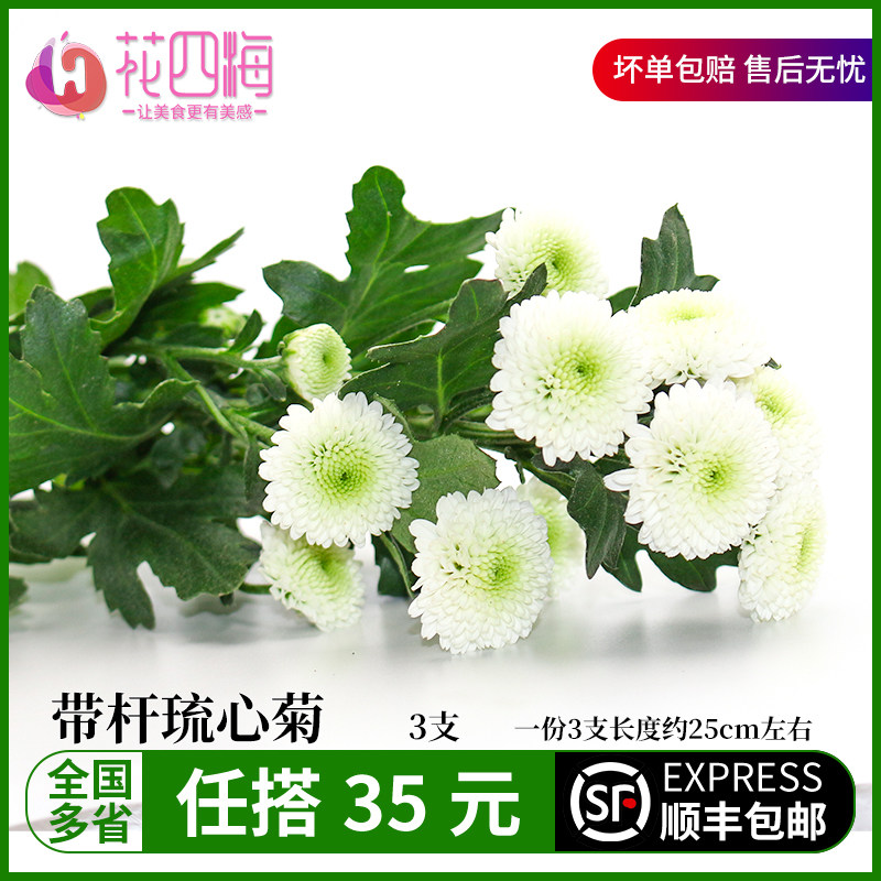 新鲜带枝琉心菊香水小菊白纽扣彩菊西餐蛋糕菜品摆盘装饰鲜花点缀