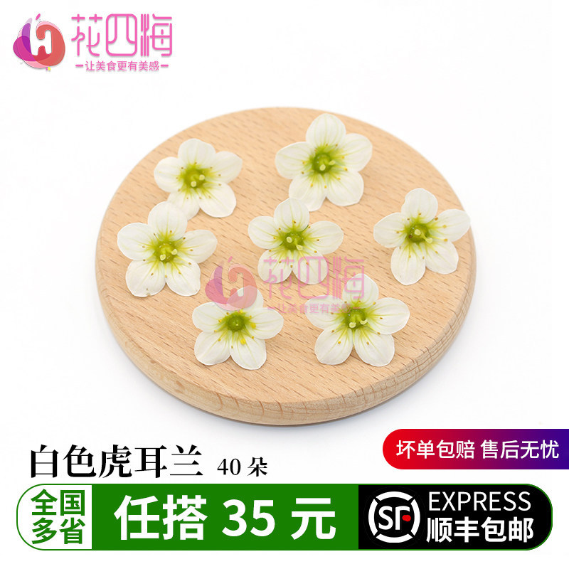 新鲜白色虎耳兰40朵 西餐酒店冷菜菜品摆盘蛋糕饮品装饰点缀新花