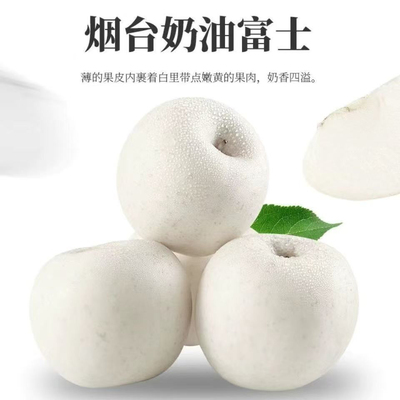 山东新鲜奶油白苹果牛奶脆甜富士苹果新鲜5斤现摘现发维纳斯明月