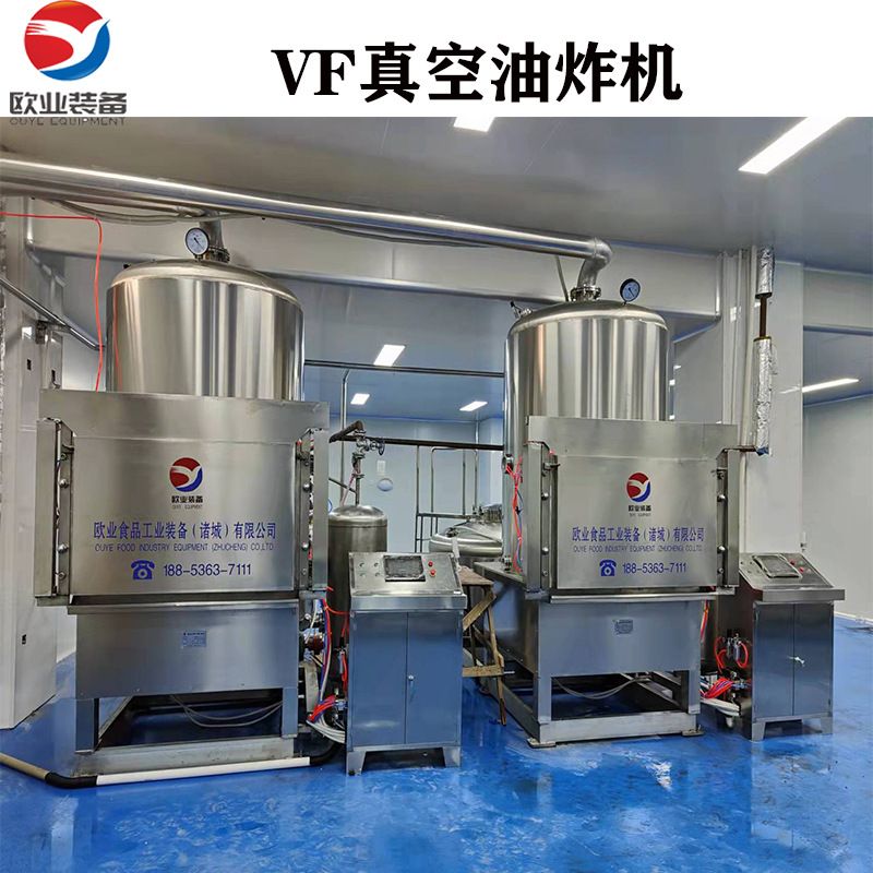 全自动真空油炸机 上门安装 果蔬脆加工 蔬菜脆低温油炸机