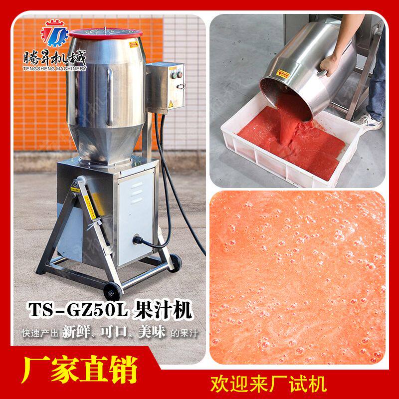 商用果蔬打浆机 工业红枣蓝莓打泥机 电动芒果去核打浆机 果汁机