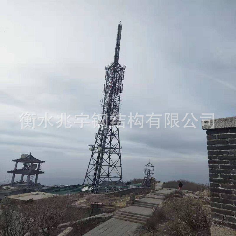 观光塔 景观塔 电视塔架 雷达塔 设计制作安装一条龙服务