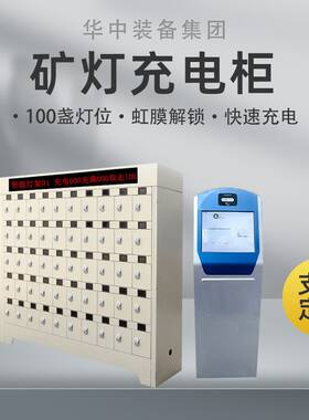 供应智能矿灯充电柜 100灯位彩屏柜门式 虹膜智能开锁 人脸识别