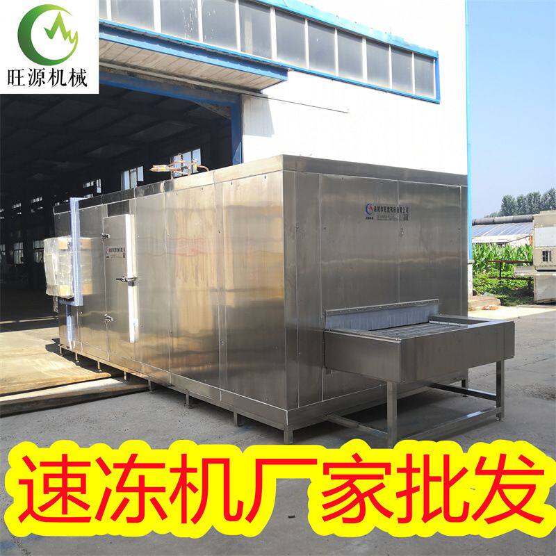 大型商用速冻机 肉类连续式隧道冷冻设备 油炸食品 节能型单冻机