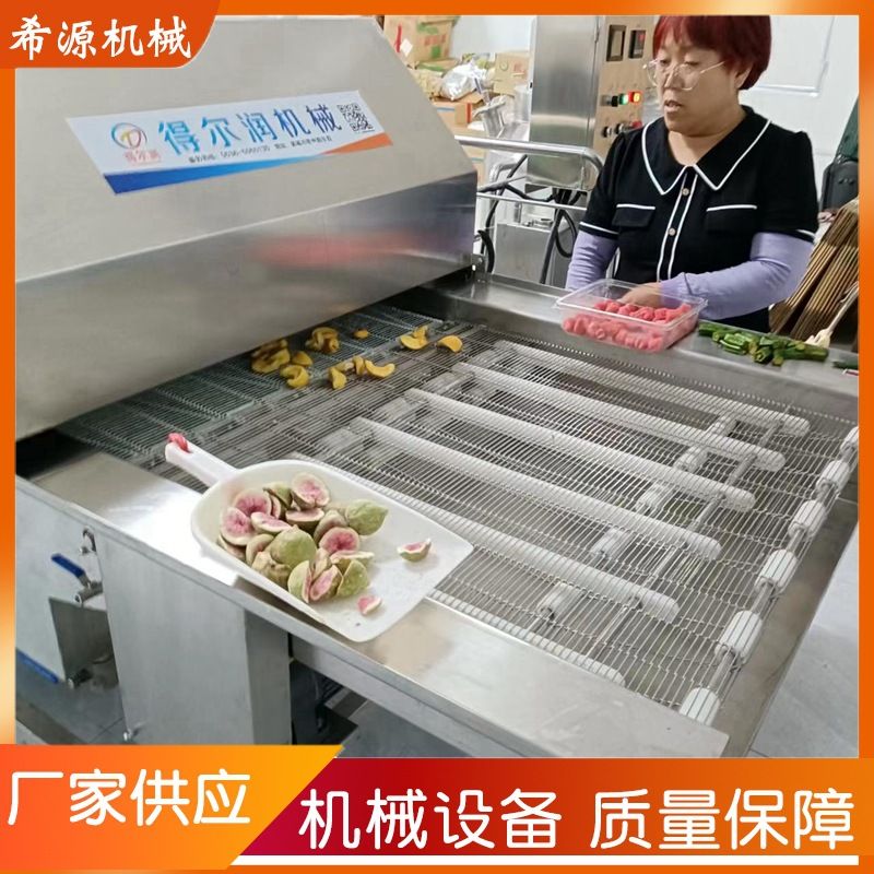 柠檬片巧克力涂层机冻干苹果片无花果涂层线厂家直发打浆机涂层机