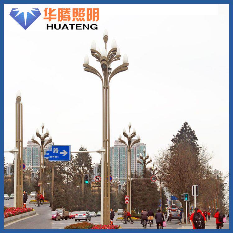 厂家  扬州路灯公园道路 led景观灯玉兰灯中华灯道路灯
