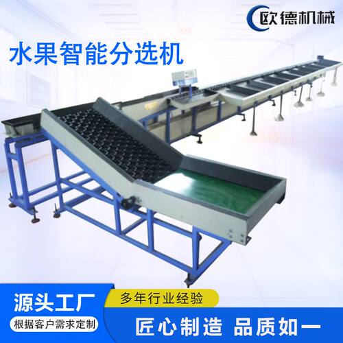 水果智能分选机 苹果牛油果多级重量分拣机 芭乐砂糖橘重量分级机
