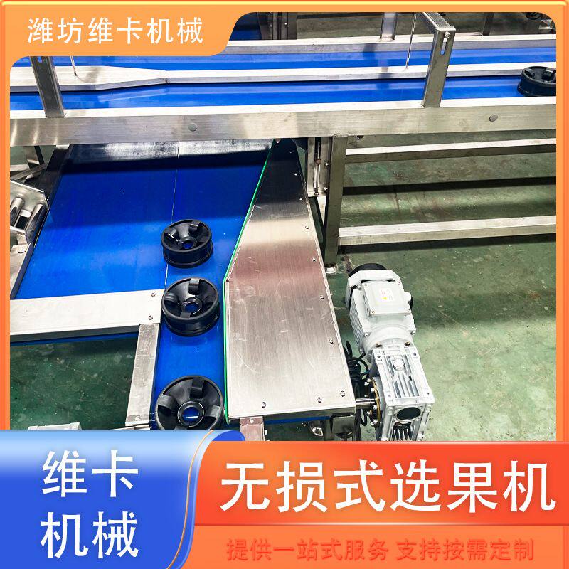 草莓呵护式选果机价格 释迦果零损伤分拣机  多级称重选果机