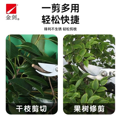 金剑家用园艺剪刀果树修枝修剪花艺枝剪子剪枝园林工具专用花剪