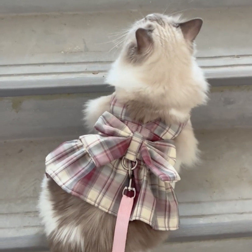猫咪胸背带春夏可牵引布偶蓝猫金渐层橘猫加菲猫宠物连衣裙公主风,宠物/宠物食品及用品,狗牵引绳,淘宝优惠券,粉丝福利购,淘宝优惠卷