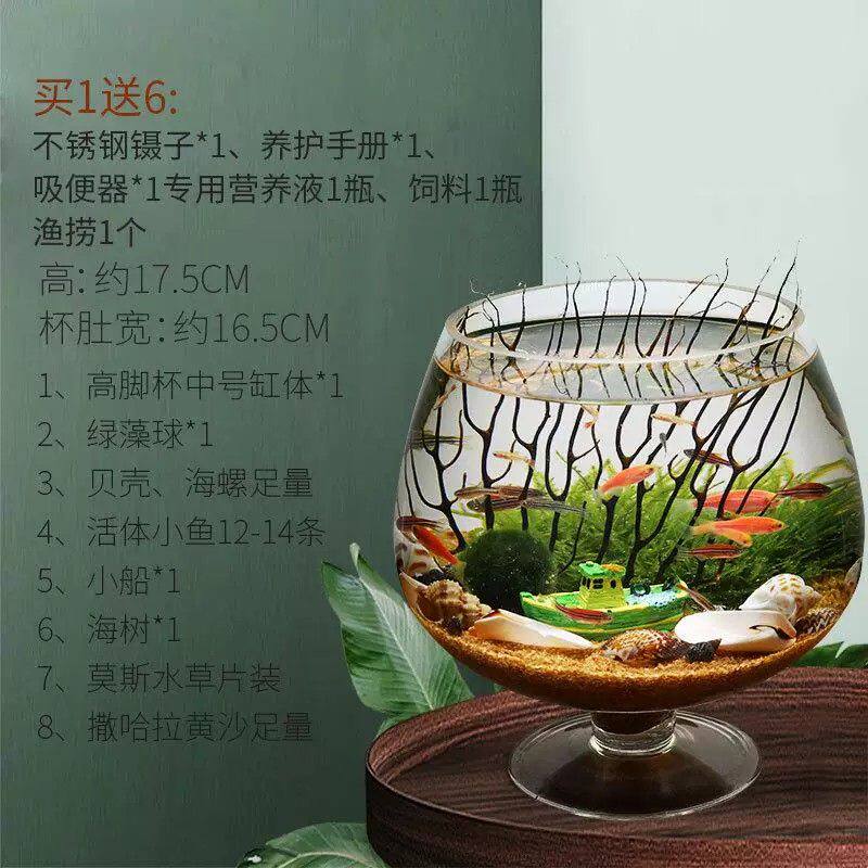 观赏生态瓶鱼微景观免换水免打理diy水族办公桌面创意造景鱼缸