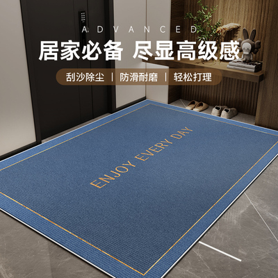 入户门地垫进门口入门免洗可擦2024新款玄关耐脏门外蹭脚垫高级感