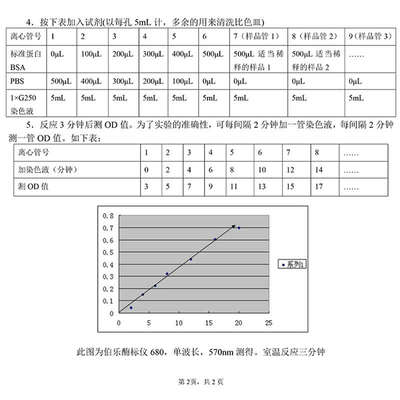 G250染色液考马斯亮蓝快速染色液脱色BSA牛血清白蛋白V蛋白质检测
