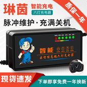 电动车电瓶充电器48V12AH20AH60V72伏爱玛雅迪台铃铅酸石墨烯通用