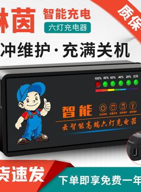 电动车电瓶充电器48V12AH20AH60V72伏爱玛雅迪台铃铅酸石墨烯通用