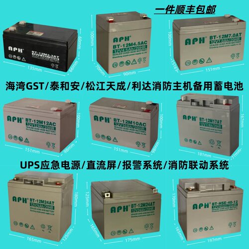 消防主机UPS应急蓄电池12V/24AH