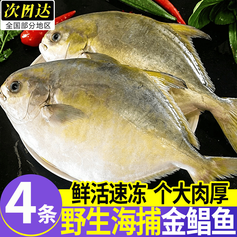 新货金鲳鱼海鲜冷冻顺丰包邮