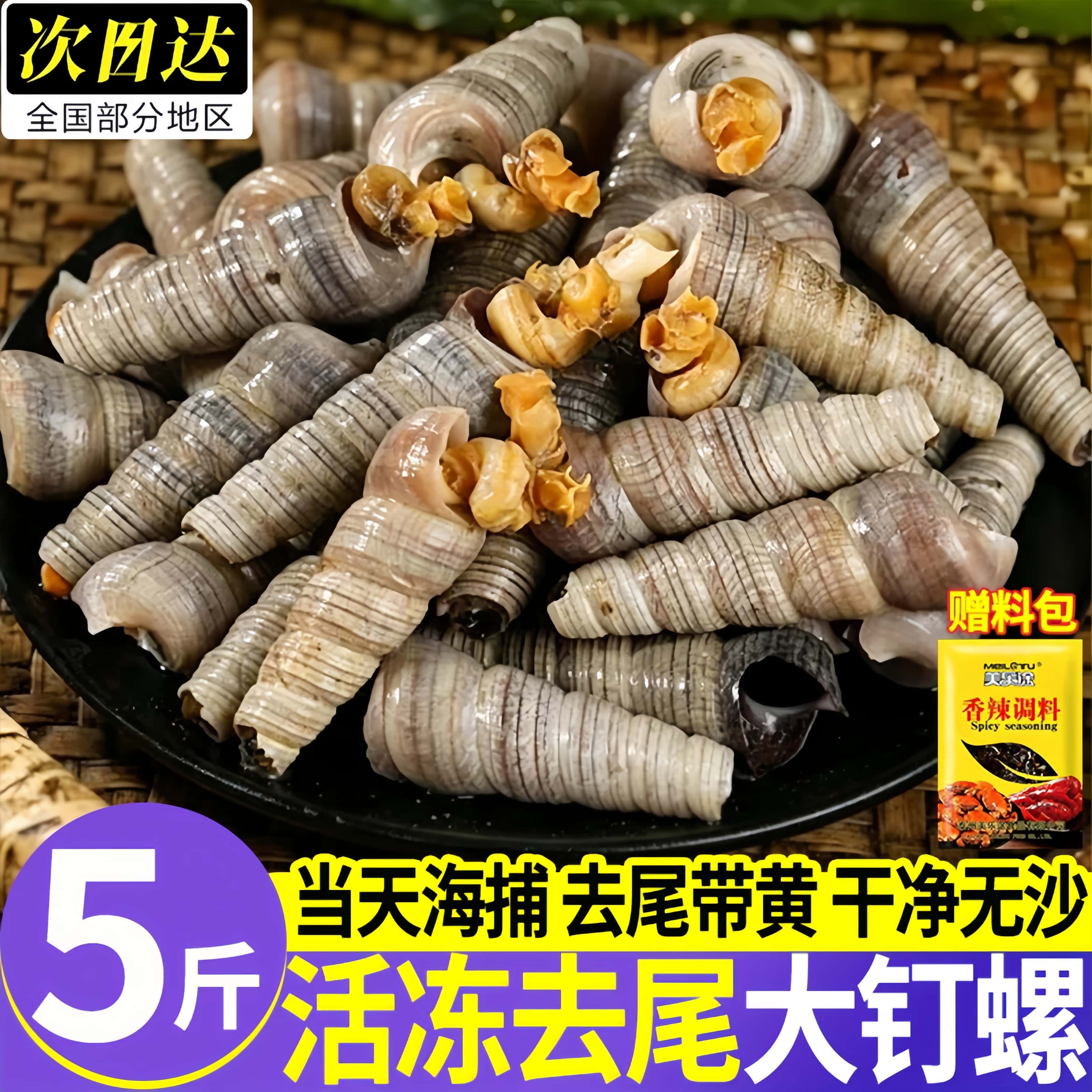 冷冻去尾带黄无沙大号钉螺整箱图片