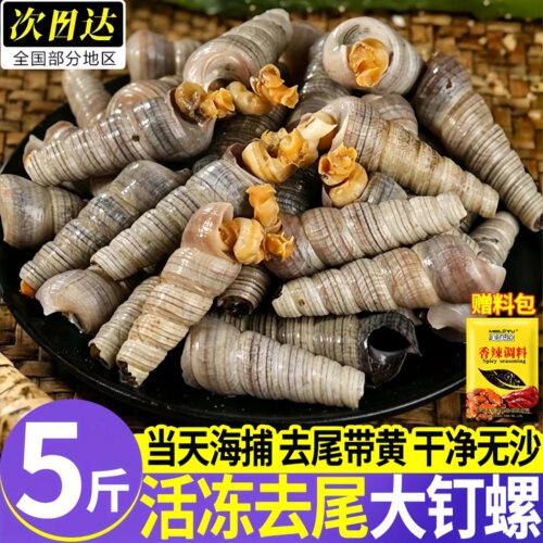 冷冻去尾带黄无沙大号钉螺整箱