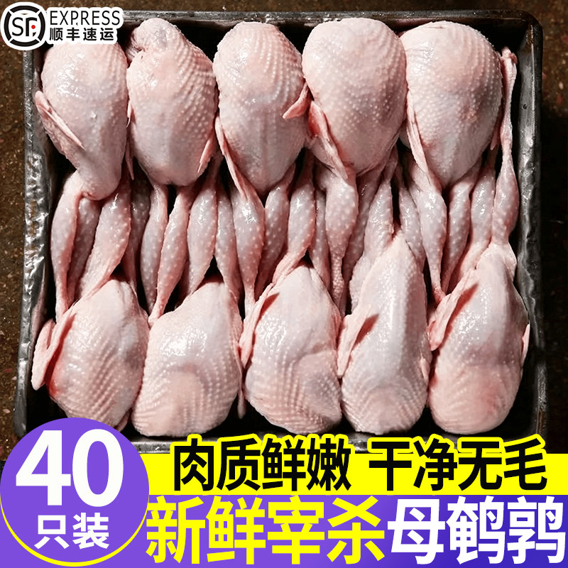 顺丰现杀去内脏特大40只鹌鹑