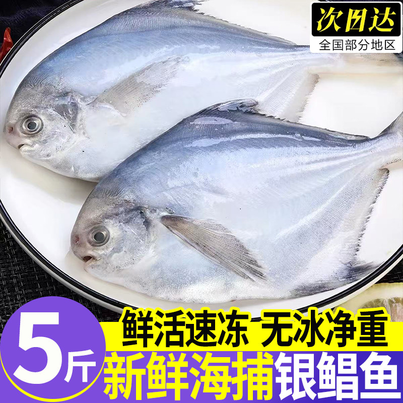 山东青岛新鲜冷冻金鲳鱼