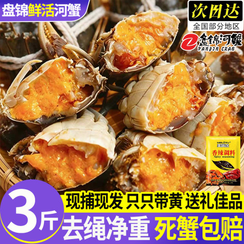 盘锦六月黄大闸蟹10只礼盒