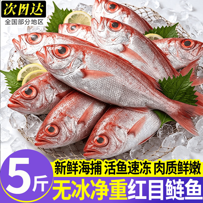 北海海捕鲜冻红大眼鱼