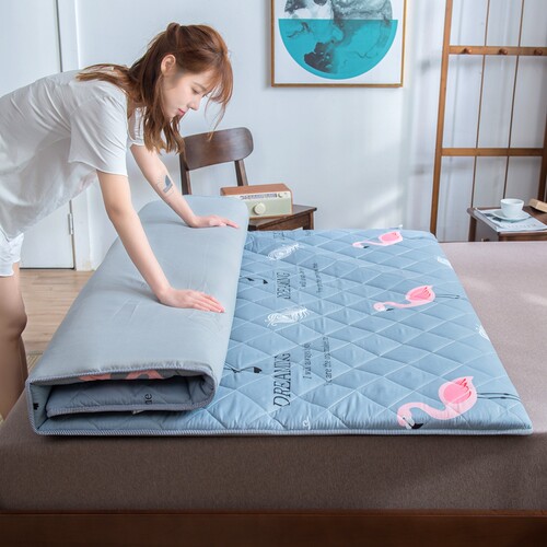 床垫1.2m床褥子1.5床垫子1.8垫被2.0x2.2被褥软硬1一2米1..9五5八