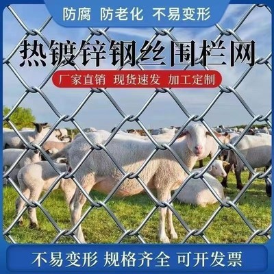 热镀锌钢丝网勾花网铁丝网养鸡鸭狗D牛羊围栏网果园鱼塘菱形网户