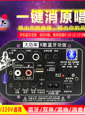 消原唱大功率蓝牙音响低音炮主板12Av24v220v广场舞音箱配件功放