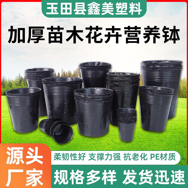 黑色加厚杯营养种植袋育苗育苗袋Bpe塑料育苗盘植物园艺育苗盆