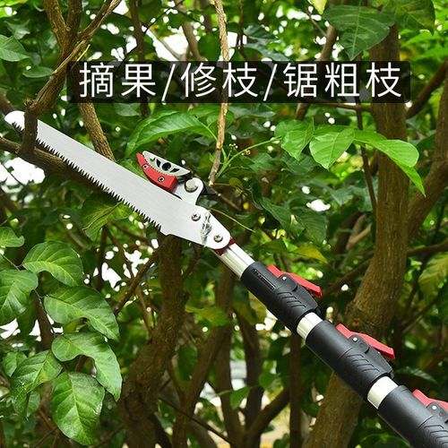 摘果剪高枝剪摘枇杷香椿荔枝伸缩加长杆修果树枝高空采摘水果神器