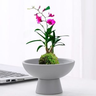 陶瓷竹苔藓现代托盘花盆家用 水培花盆茶点盘蕨类插花米简约球日式