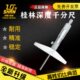 100 桂量桂林深度千分尺0 300可换测杆桂林山字0.01
